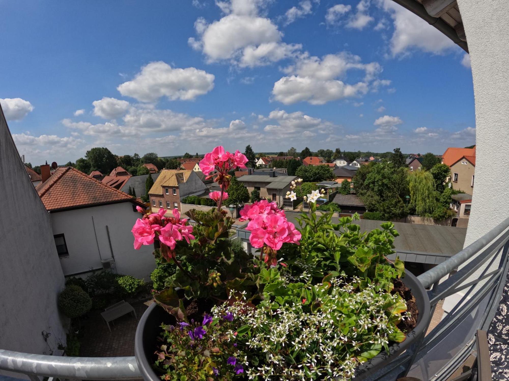 Ferienwohnung Ausblick Bad Dueben Bagian luar foto